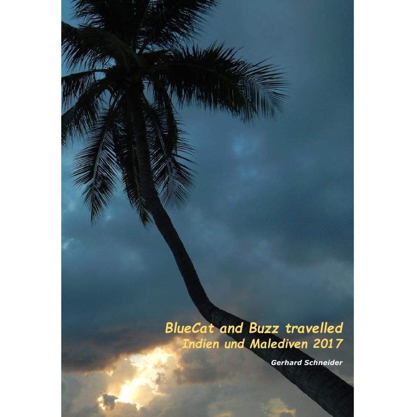 Buzz travelled / BlueCat and Buzz travelled, Ratgeber von Gerhard Schneider