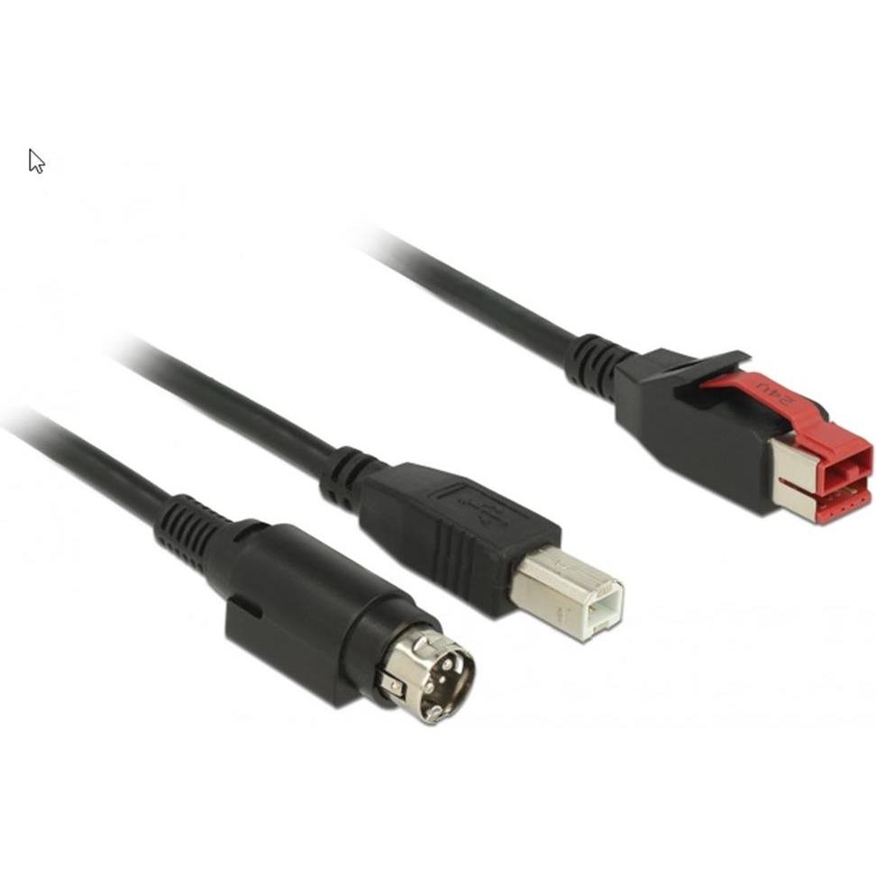 Delock 85490 PoweredUSB Kabel Stecker 24 V (4 m, USB 2.0), USB Kabel