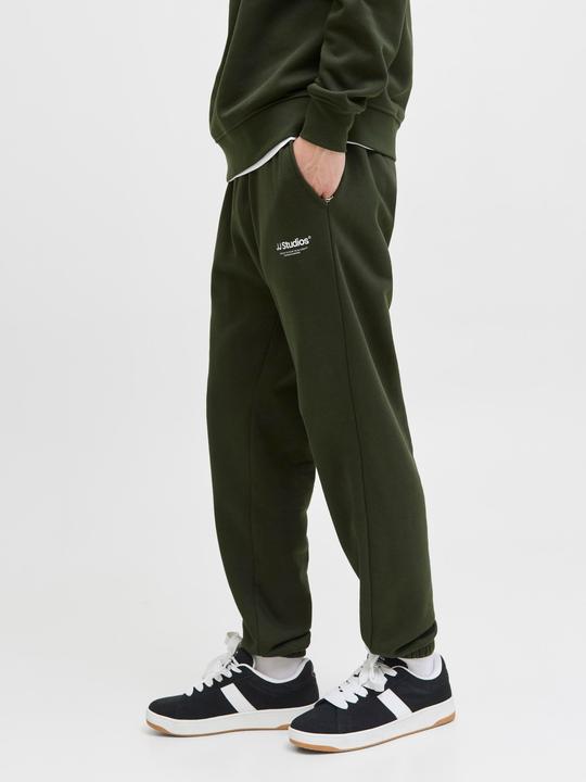 Actual product image Jack & Jones Regular Fit Relaxed Fit Hosen Relaxed Fit Hosen (XXL)