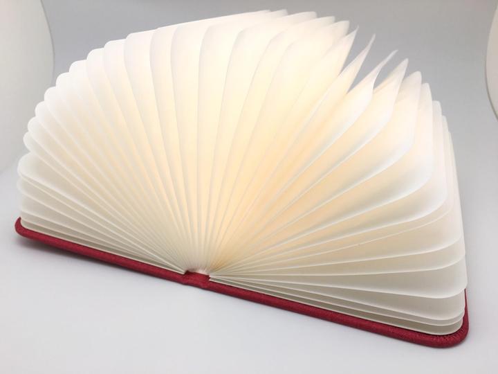 Produktbild Audiolab Buchlampe