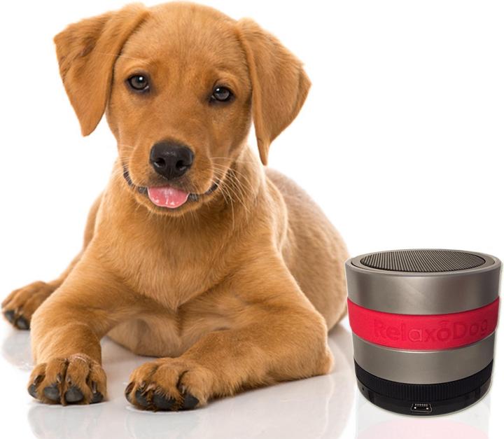 Image du produit RelaxoPet RelaxoDog Smart (Chien)