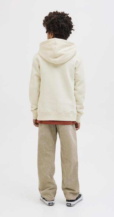 Immagine prodotto Jack & Jones Jorfrederiksberg Box Sci Sw.H Sn Unb Jnr (140)