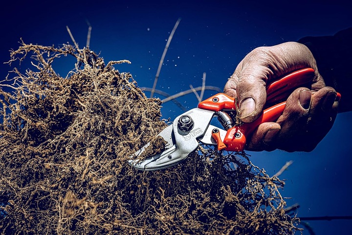 Produktbild Löwe Amboss Gartenschere 8.107