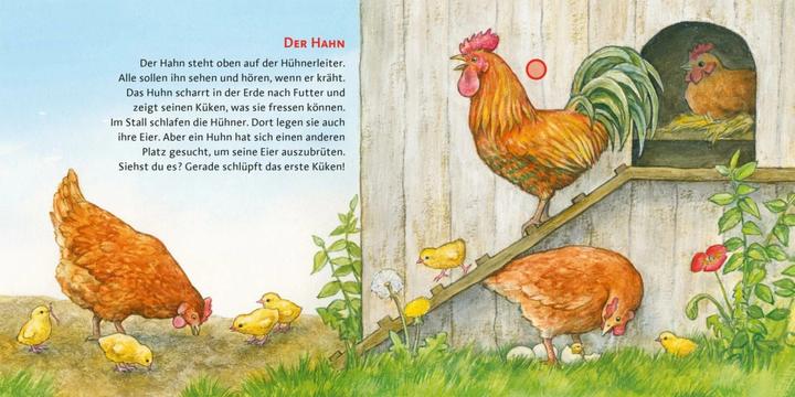 Productafbeelding Luisteren (geluidenboek): De boerderij (Anne Möller, Duits)