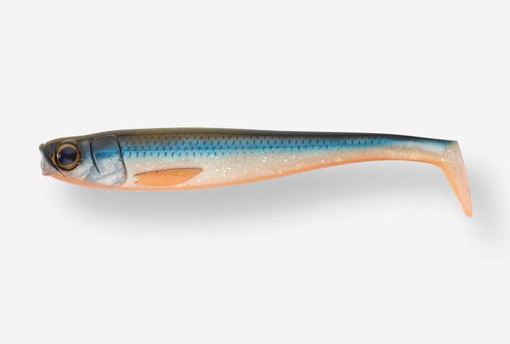 Immagine prodotto Caperlan Shad Rogen 250 Hecht Roach polyvinylchlorid (25 cm)