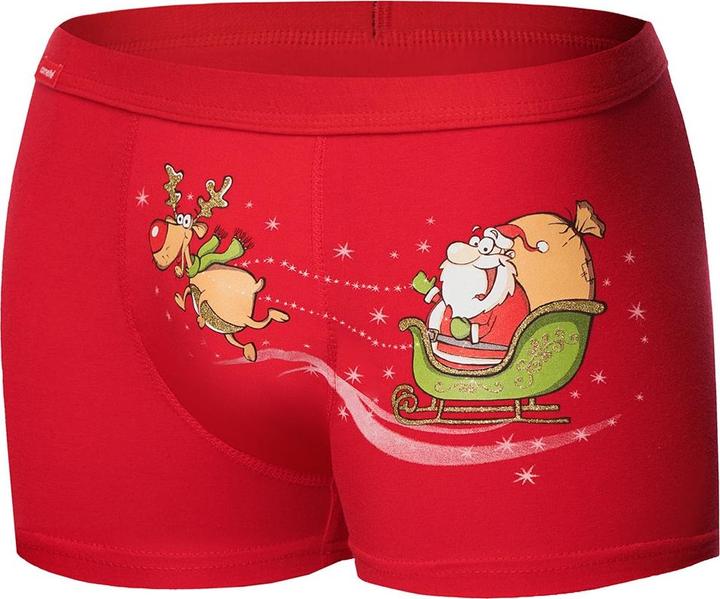 Image du produit Corvette Caleçons modèle 173088 (XXL)