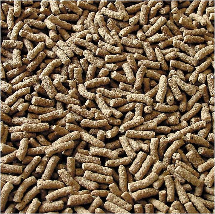Produktbild Sera Pond Granulat 3.8L (Teichfische, 3800 ml)