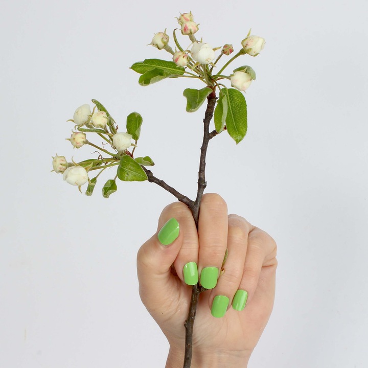 Produktbild Vargu solid green (Solid Green)