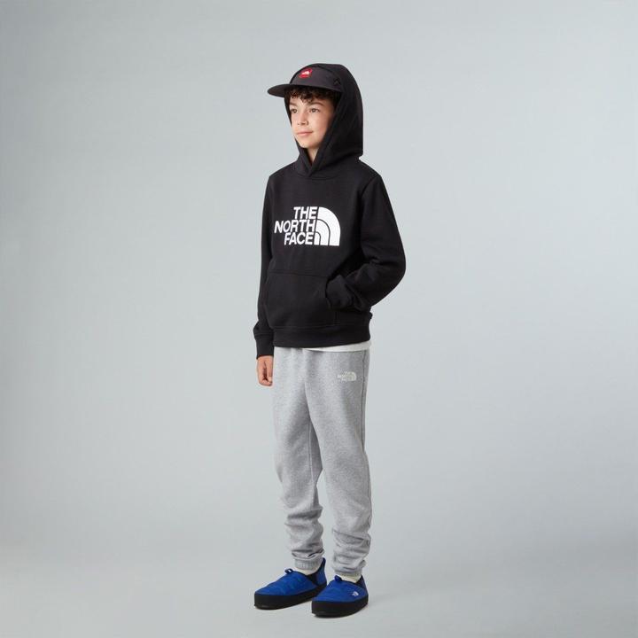 Produktbild North Face Teen Drew Peak Hoodie (XXL)
