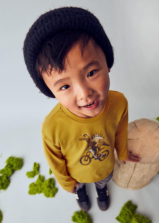 Immagine prodotto MAYORAL T-Shirt Dinosaurier (122)