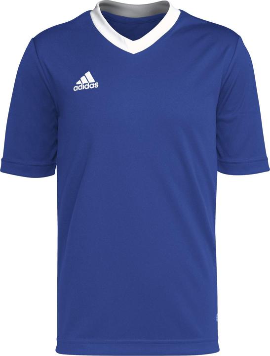 Produktbild adidas Entrada 22 Trikot (164)