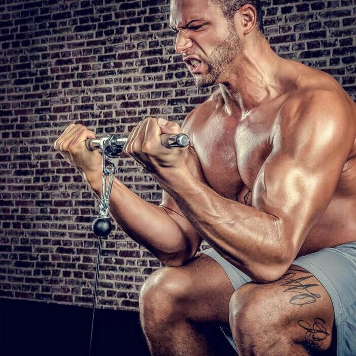 Image du produit ATX Barre de triceps / biceps droite environ 50 cm