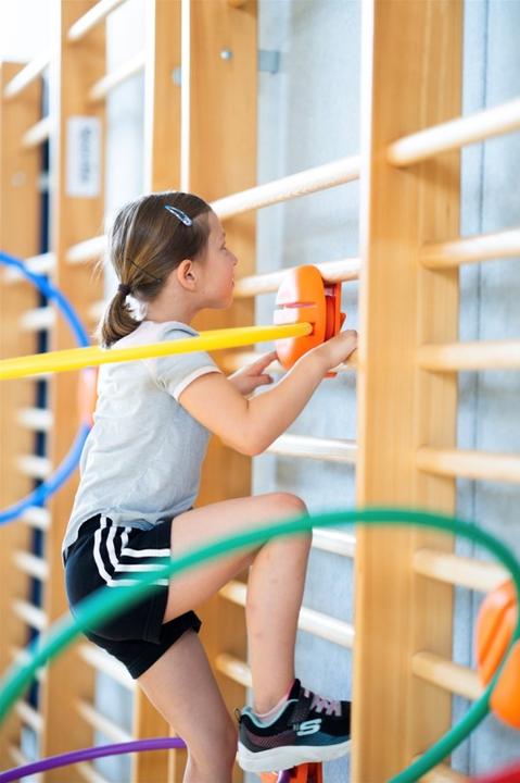 Image du produit Spordas Porte-pneus pour espaliers WalliBari