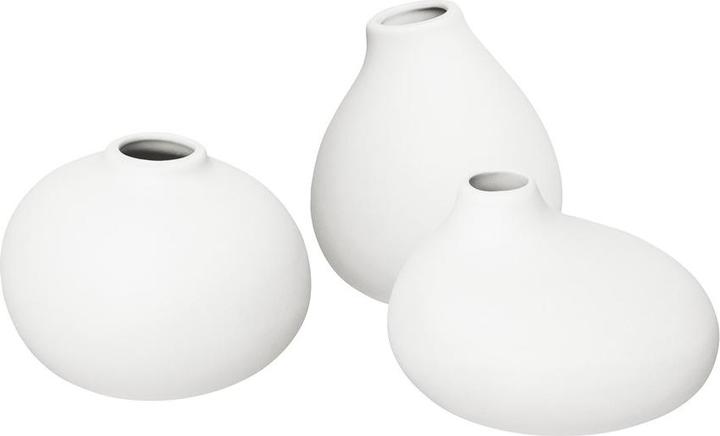 Produktbild Blomus Blumengefäss (3 x)
