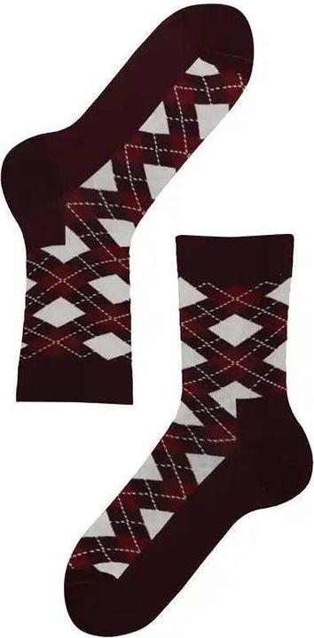 Lenz Longlife socks women