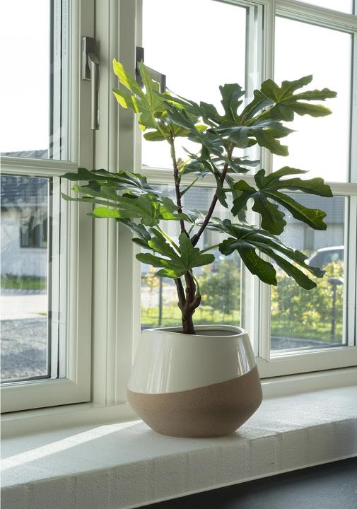 Produktbild House Nordic Fig (60 cm)