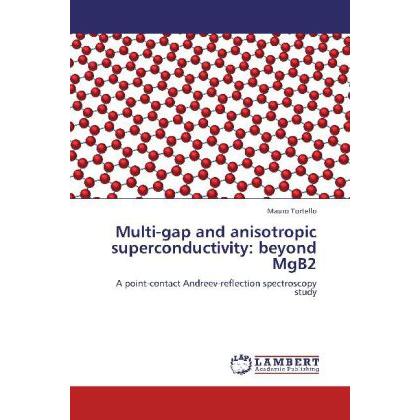 Multi-gap and anisotropic superconductivity: beyond MgB2, Fachbücher