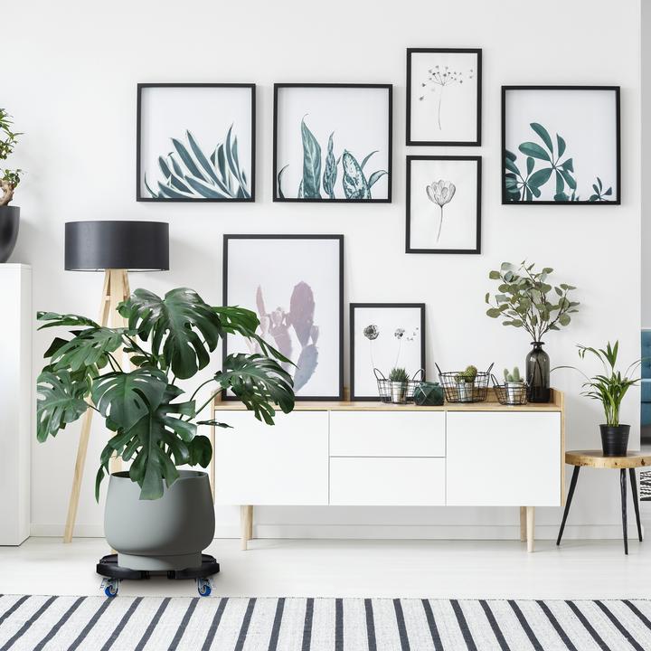 Produktbild Relaxdays Pflanzenroller