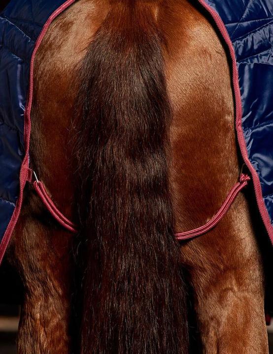 Actual product image Weatherbeeta Comfitec 210D Standard 100g (140 cm)