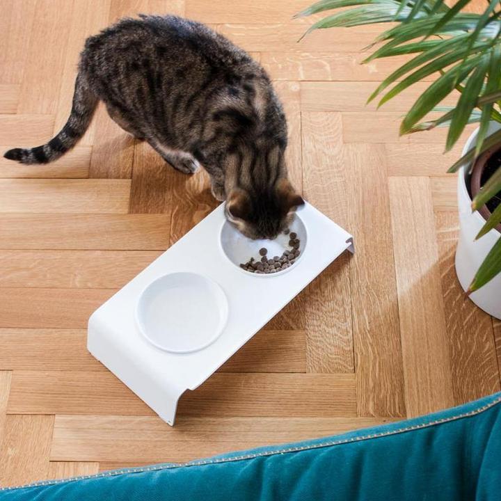 Produktbild LucyBalu DINE Futterstation