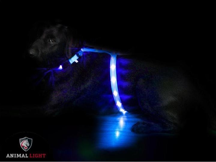 Image du produit Animal Light Glow (L, Chien, Général)