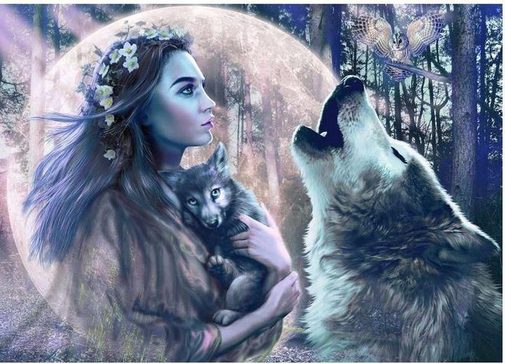 Immagine prodotto Ravensburger Notte di luna piena (1000 pezzi)