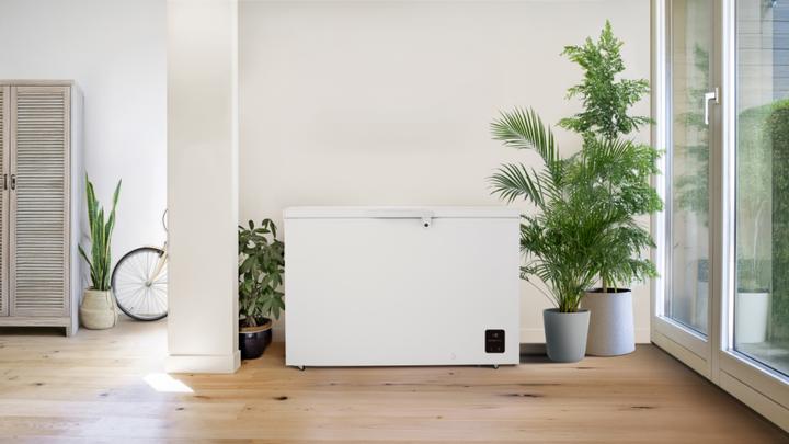 Actual product image Gorenje Freezer (Stand-alone, 297 l)