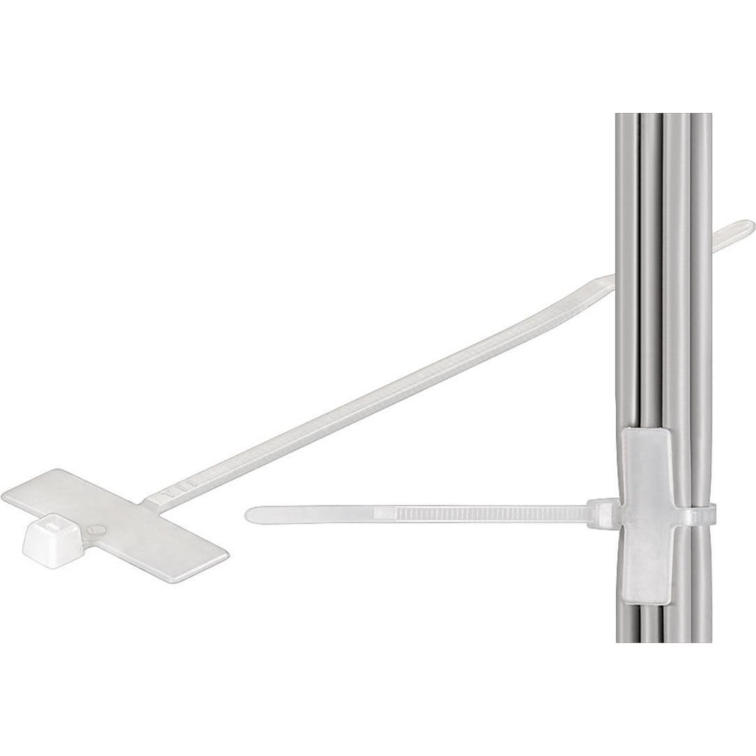 Goobay, Kabelbinder, fixpoint Kabelmarker-Halter (Kunststoffkabelbinder, 100 mm, 100 Stk.)