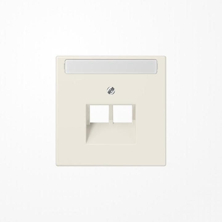Actual product image JUNG Central plate UAE/IAE 2f LS ws glz LS969-2NAUA