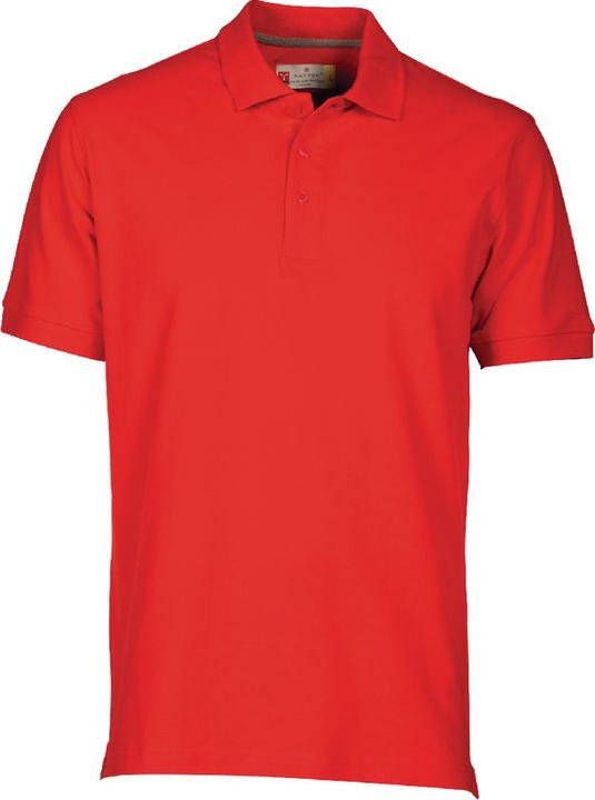 Image du produit Payper Polo (3XL)