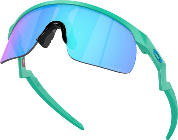 Actual product image Oakley Resistor (Mat Celeste, Prizm Sapphire)