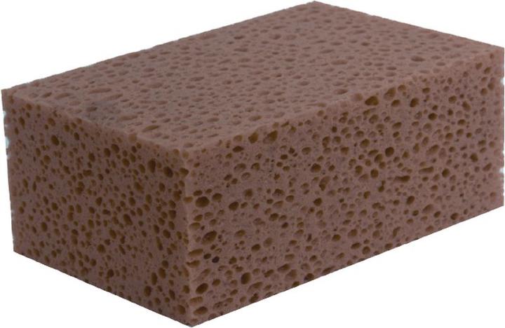 BRW Mason's sponge