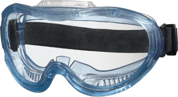 Futuro BRW Full vision goggles