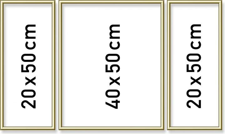 Produktbild Schipper MNZ Alurahmen Triptychon 50/80