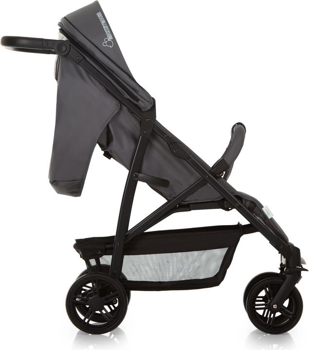 Actual product image Hauck Rapid 4X
