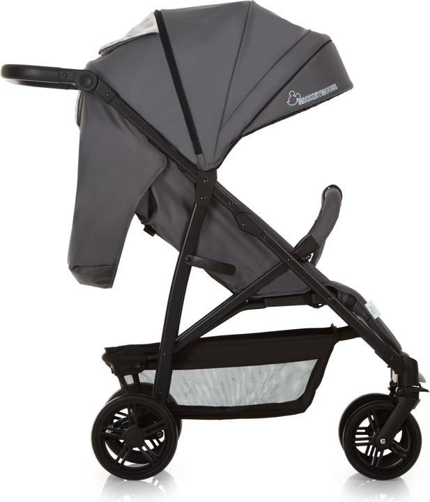 Actual product image Hauck Rapid 4X
