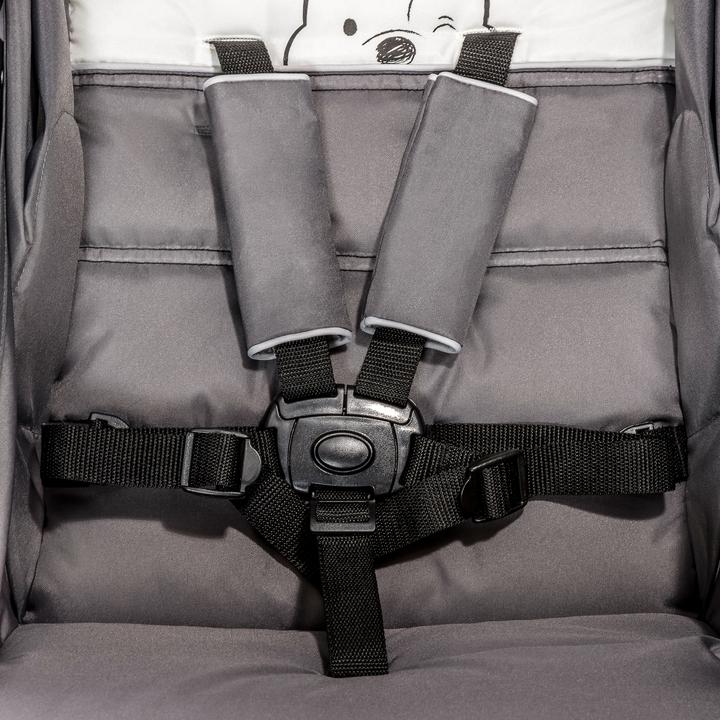 Produktbild Hauck Shopper Neo II