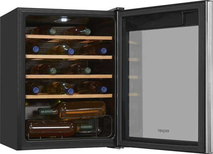 Immagine prodotto Exquisit WS1-24-GTE-030G nero