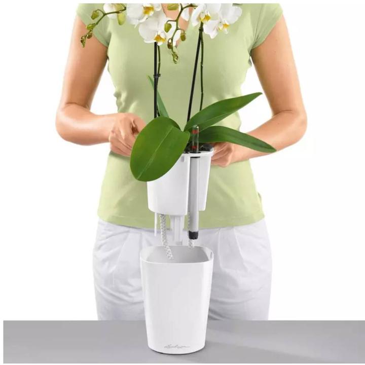 Produktbild Lechuza Deltini (15 cm)