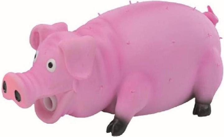 Nobby Cane giocattolo in lattice di maiale, 20 cm (Gioco da masticare per cani)