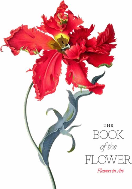 Produktbild The Book of the Flower: Flowers in Art (Englisch, Kendra Wilson, 2019)