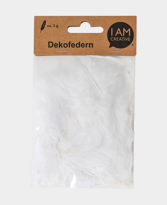 Actual product image I Am Creative Decorative feathers