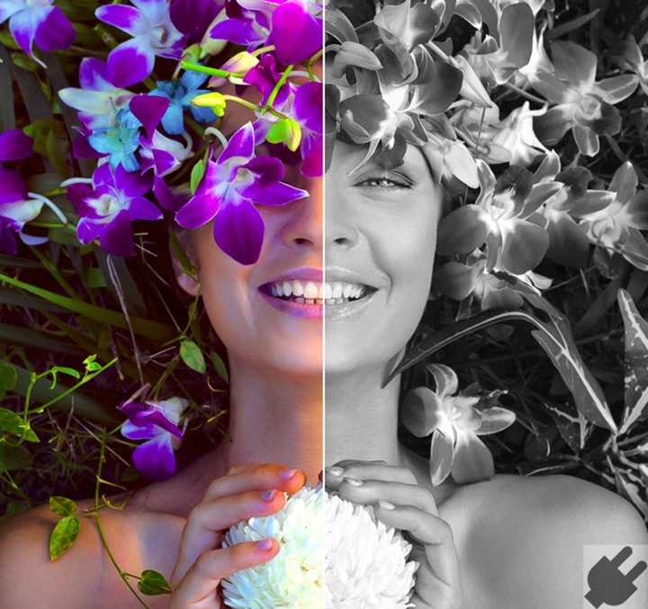 Image du produit Corel AfterShot Pro 3 (1 Utilisateur)