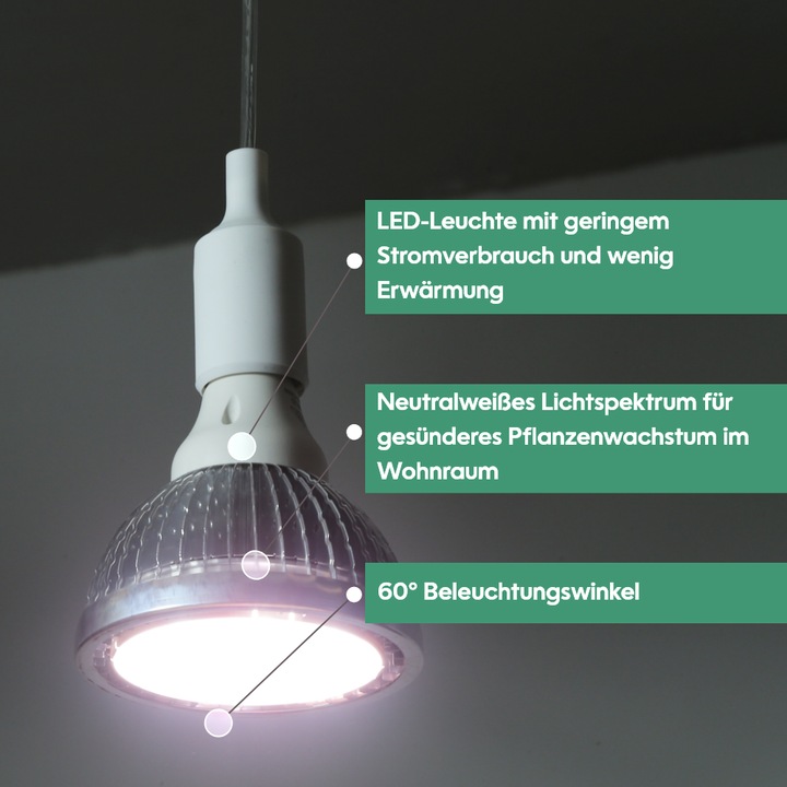 Produktbild Venso Grow Light Standard (LED, 245 V)