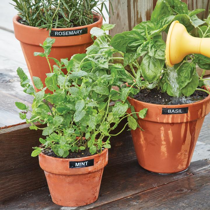 Actual product image Dymo D1 (1.20 cm, Black)