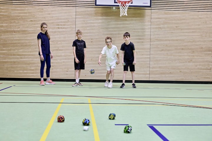 Produktbild Schildkröt Crossboccia Pro (12 x, 80 mm)