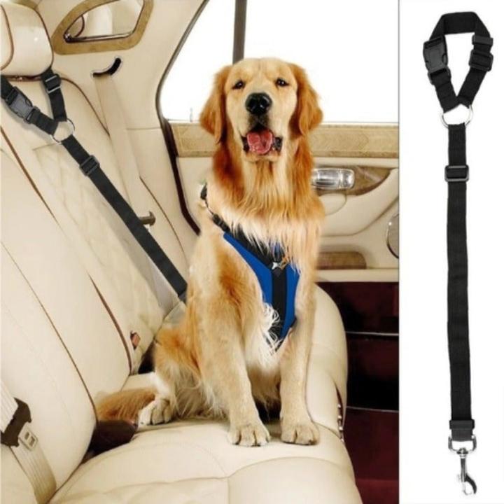 Actual product image Hermex Safety Leash Seat Belt Car Back Seat Dog Leash Black (Dog, Safety closure)