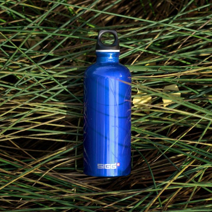Produktbild Sigg Traveller (0.60 l)