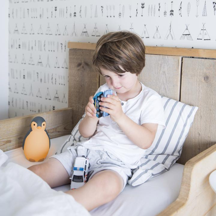 Immagine prodotto ZaZu Aiuto per il sonno Pam