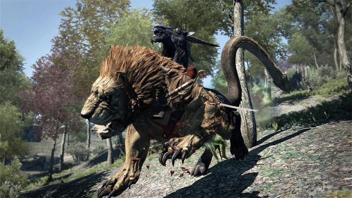 Produktbild Capcom Dragon's Dogma: Dark Arisen -US- (Switch, Switch Lite, Switch OLED, EN)